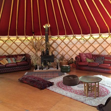 Silver Airstream Glamping & Rental Чичестер Экстерьер фото