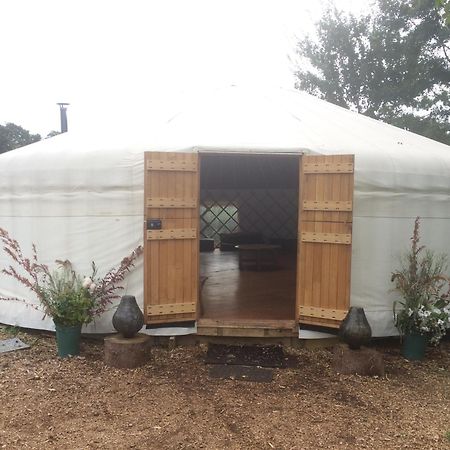 Silver Airstream Glamping & Rental Чичестер Экстерьер фото